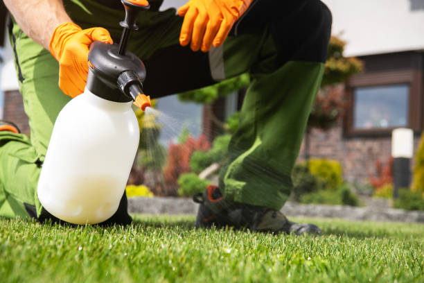 Bird Control in South Lancaster, MA