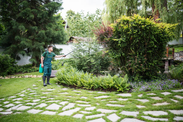 Best Wildlife Control Services  in South Lancaster, MA